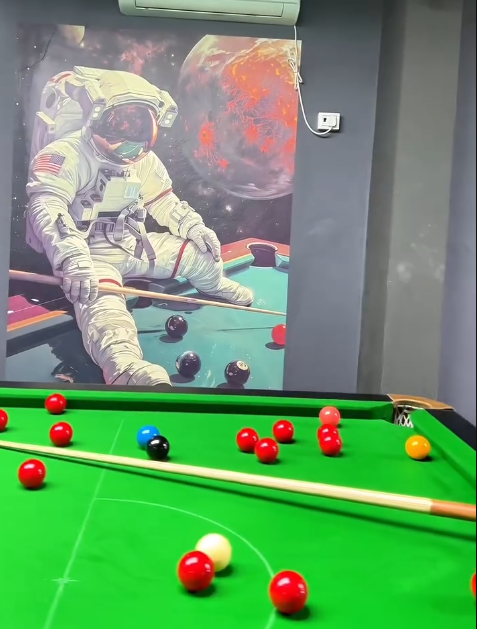 Snooker syndicate photo 1